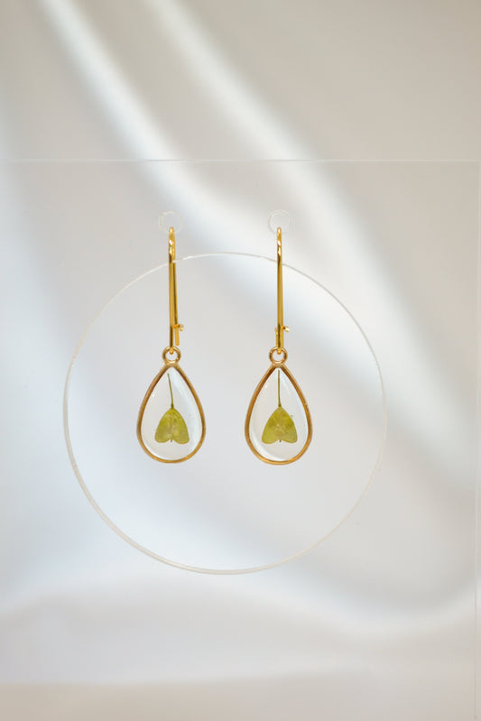 Hartblad x Druppel S oorbellen