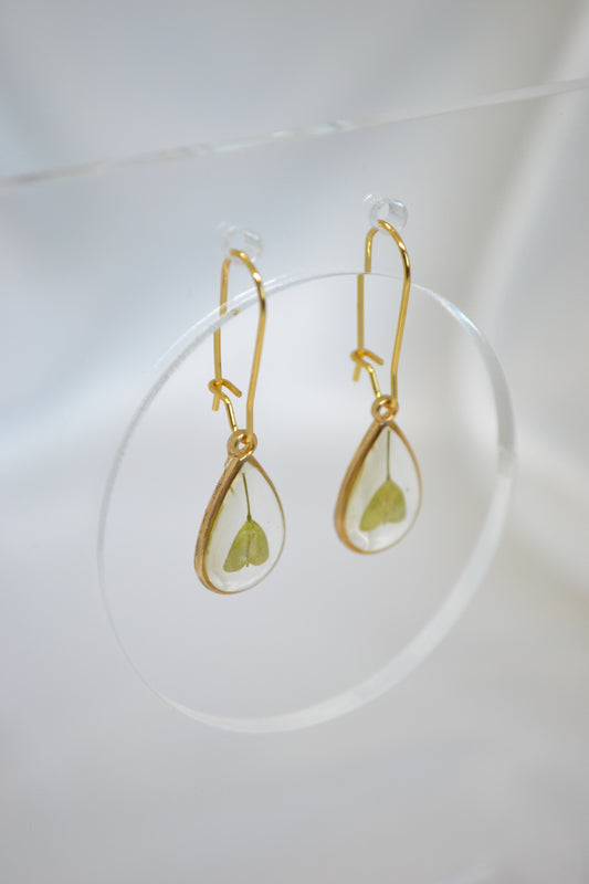 Hartblad x Druppel S oorbellen